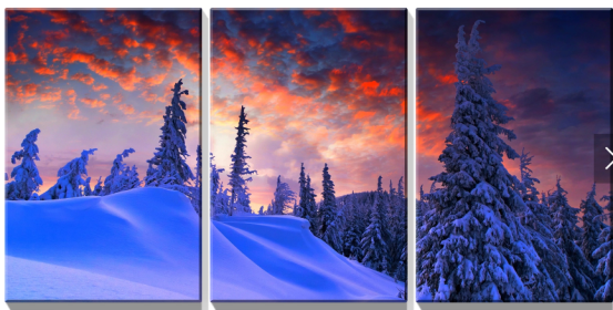 Winter Forest Canvas Wall Art