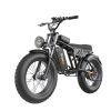 Fat Tire 1000W Powerful Motor Single Gear Electric Bike For Teenage And Women