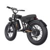 Fat Tire 1000W Powerful Motor Single Gear Electric Bike For Teenage And Women