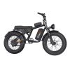 Fat Tire 1000W Powerful Motor Single Gear Electric Bike For Teenage And Women