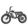 Fat Tire 1000W Powerful Motor Single Gear Electric Bike For Teenage And Women