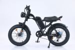 EMB009 New Design 750W Mountain Electric Bicycle Out Door With Fat Tire 20''Ebike