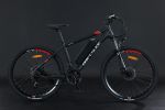 GT-X100 350W Electric Bike for Adults 26'' Tire 36V 13Ah Up to 50 Miles Adults Electric Bicycle